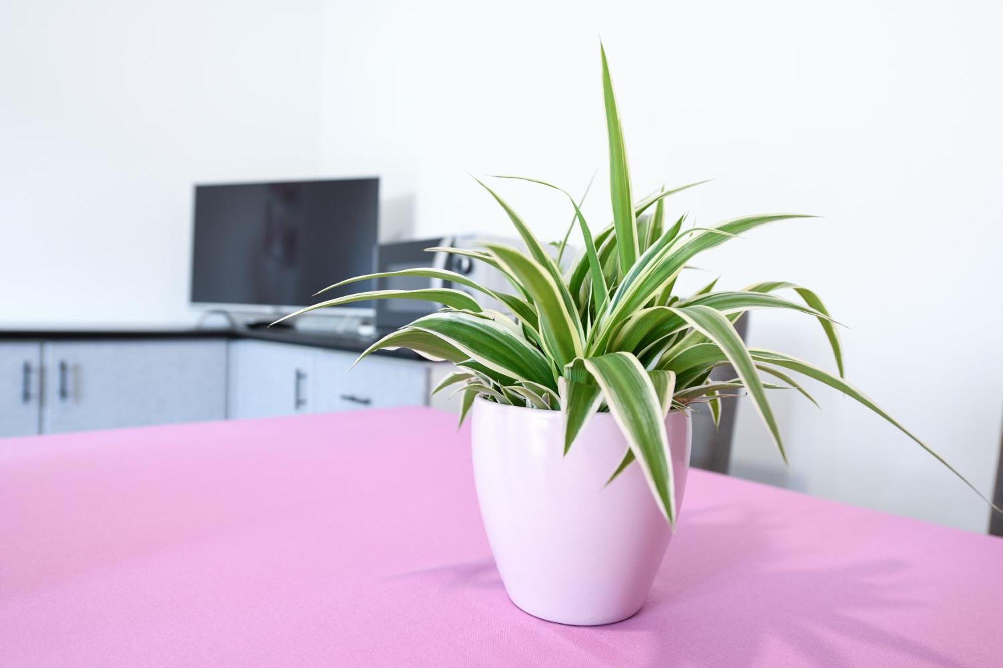 Breeze Apartment ديسينسانو ديل غاردا المظهر الخارجي الصورة